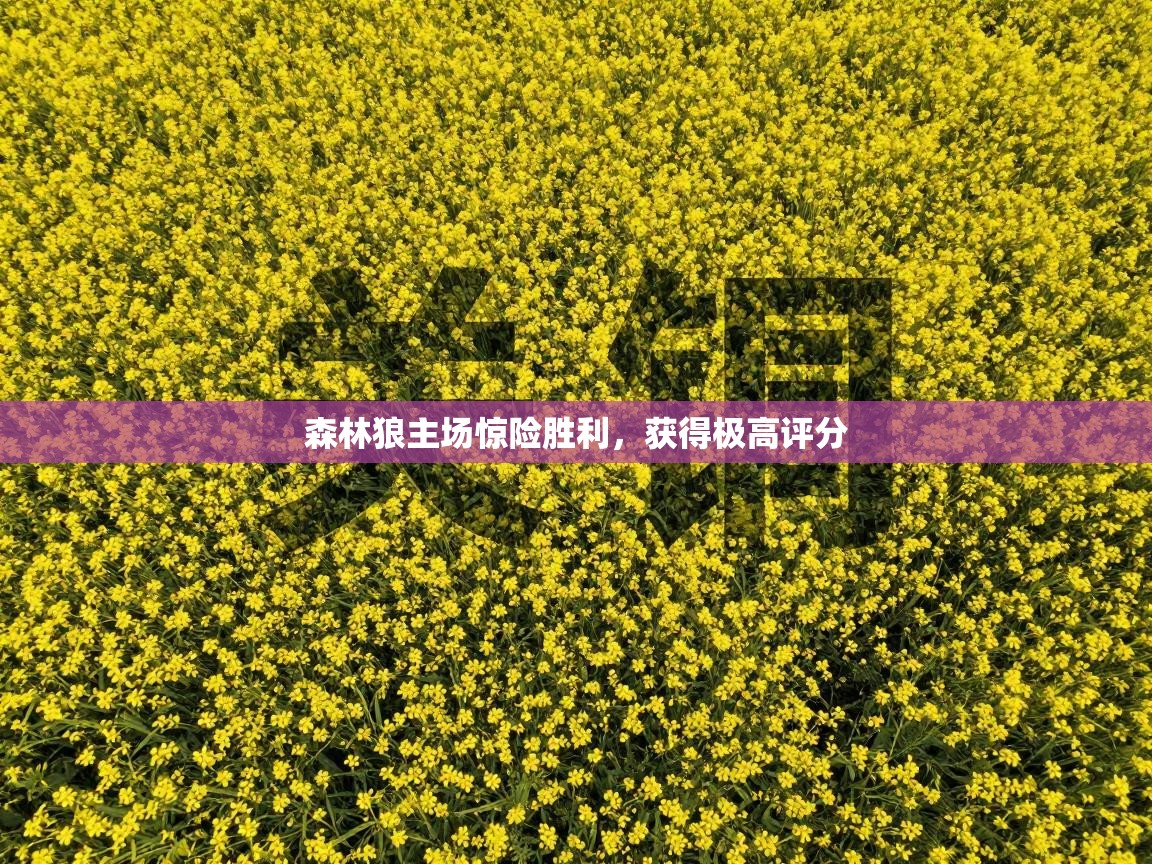 森林狼主场惊险胜利,获得极高评分 第1张